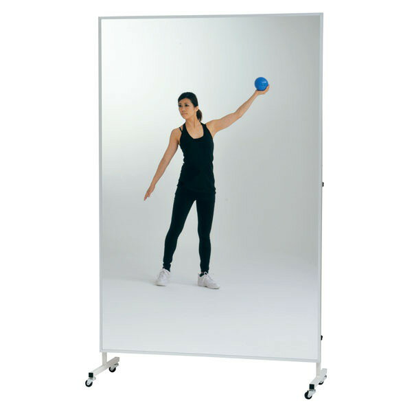 �ߥ顼 �� �ե����ߥ顼 T-2831 ��ư���ե����ߥ顼900 ��TOL�ۡ�36CE��