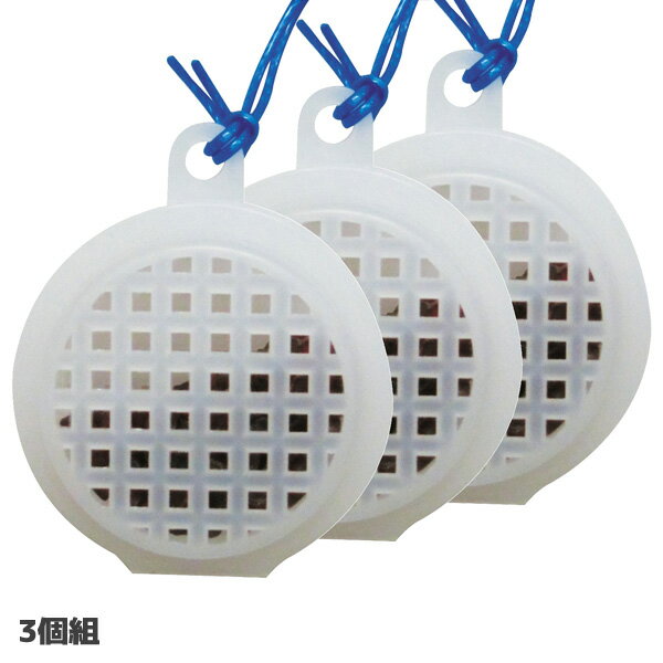 �衼�ɤ��ɤ�����ݡ�3���� ( 3544 / ITK10313261 )�� �������꡼���� �ۡ�36CE��