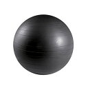 ベルフィット・ビガーボール55 ( BE-AB55 / SNL10253055 )【 サンラッキー 】【 サンラッキー ヨガボール 】【14CD】