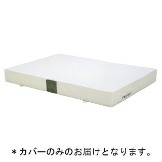 エバーマット トーエイライト G-2022A 【カバーのみ】エバーマット(エステル帆布)・ノンスリップ 2×3×0.3 (TOL)