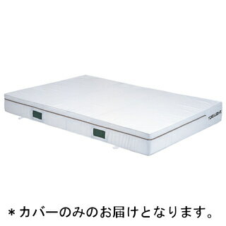 エバーマット トーエイライト G-1459A 【カバーのみ】防炎・抗菌エバーマット（エステル帆布）・ノンスリップ 2×3×0.4cm (TOL)