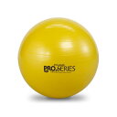 SDS EXERCISE BALL/エクササイズボール プロシリーズ イエロー/45cm ( #SDS-45 / JSD10257222 )【 D&M 】【 D&M ヨガボール 】【14CD】