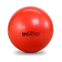 SDS EXERCISE BALL/エクササイズボール プロシリーズ レッド/55cm ( #SDS-55 / JSD10257223 )