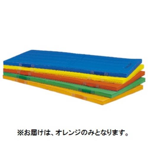 カラーマット トーエイライト T-1893V エコカラーコンビネーションマット5cm厚 120×240×5cm オレンジ (TOL)【36CE】