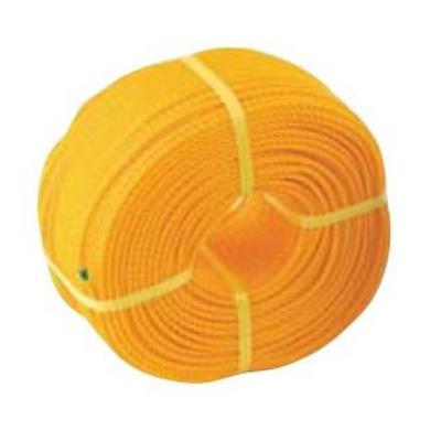 ロープ 三和体育 SANWA TAIKU S-2873 グランドロープ3-200 黄 (SWT)