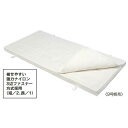 三和体育 SANWA TAIKU S-5902 マットカバ- 9号帆布 120×300×5 (SWT)