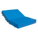 ソフトマット 三和体育 SANWA TAIKU S-9797 室内外兼用ソフトマット (二ツ折) 200×400×40 (SWT)【36CE】