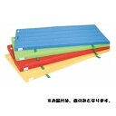 カラーマット 三和体育 SANWA TAIKU S-9842 室内用抗菌カラ-マット (レッド) 120×240×5 (SWT)(4)