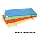 カラーマット 三和体育 SANWA TAIKU S-9843 室内用抗菌カラ-マット (レッド) 120×300×5 (SWT)