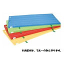 カラーマット 三和体育 SANWA TAIKU S-9847 室内用抗菌カラ-マット (ブル-) 120×240×5 (SWT)(4)