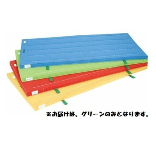 カラーマット 三和体育 SANWA TAIKU S-9850 室内用抗菌カラ-マット (グリ-ン) 90×180×5 (SWT) カラーマット 三和体育 SANWA TAIKU S-9850 室内用抗菌カラ-マット (グリ-ン) 90×180×5 (SWT)