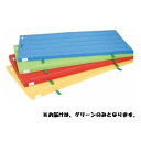 カラーマット 三和体育 SANWA TAIKU S-9854 室内用抗菌カラ-マット (グリ-ン) 120×600×5 (SWT)(4)