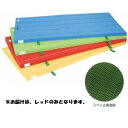 カラーマット 三和体育 SANWA TAIKU S-9863 室内用抗菌カラ-マット ノンスリップタイプ (レッド) 120×300×5 (SWT)