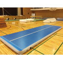エアマット 三和体育 SANWA TAIKU S-9582 エアマット 標準仕様 t10cm 120cm×300cm (SWT)