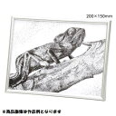 #13728 ペン付点描フレーム200x150mm (AC10632393) 【 アーテック 】【14CD】