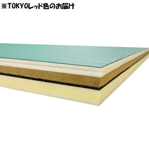 柔道用畳 エバニュー EKR036-191 柔道畳ソフト（1×2） TOKYOレッド (ENW)【36CE】