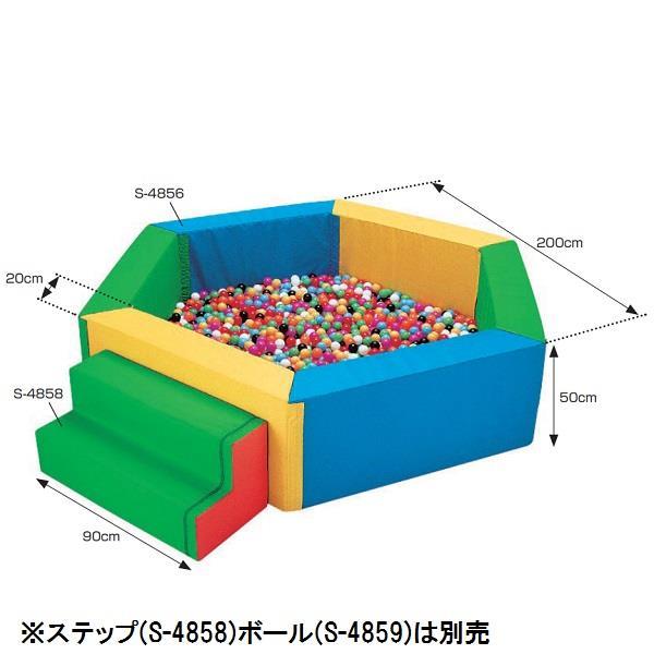 三和体育 SANWA TAIKU S-4856 プール (SWT)