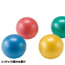 ストレッチ用ボール ダンノ D-5401 ソフトギムニク10(10個1組) レッド (DAN)