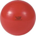 ストレッチ用ボール ダンノ D-5610R ギムニク30(レッド) (DAN)(4)