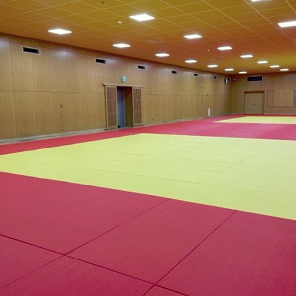 柔道畳 三和体育 SANWA TAIKU S-4040 柔道畳 セット(162枚) (SWT)【36CE】