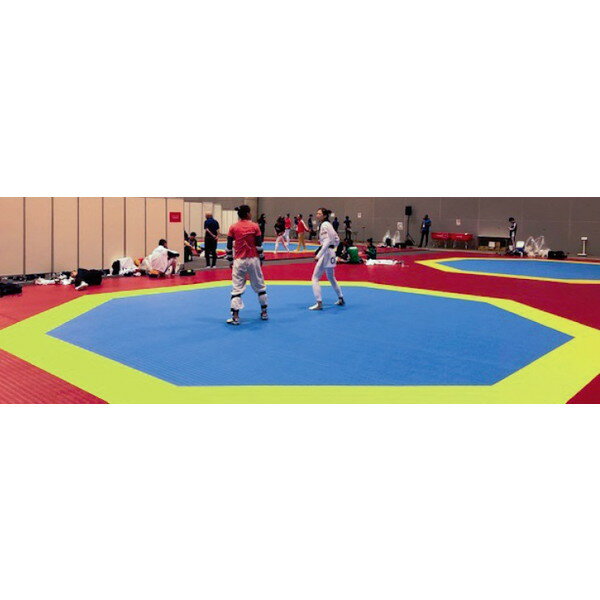 三和体育 SANWA TAIKU S-4074 テコンドーマットセット (SWT)【36CE】