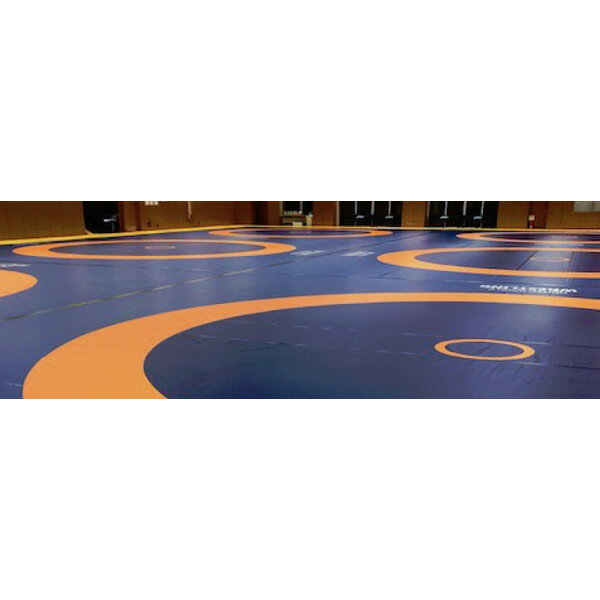 三和体育 SANWA TAIKU S-4075 レスリングマットセット (SWT)【36CE】