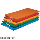 カラー体操マット エバニュー EKM086-400 軽量カラーマットTP 120X240X5 黄 (ENW)(4)