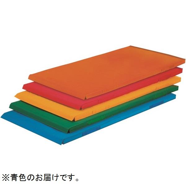 カラー体操マット エバニュー EKM089-700 軽量連結カラーマットTP 青 (ENW)