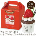 チョコベイク フェイクスイーツ 樹脂粘土 50852 チョコベイクで作るいちごのカップケーキスペシャルキット 【AC】