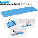 ヨガマット フィットネスマット ストレッチマット D-7249 EVAキャリーマット(折畳みマット) 送料ランク【J】【DAN】