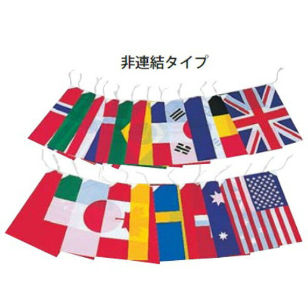 万国旗 ハタ 国旗 K-2158 万国旗20か国 【KNY】