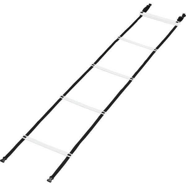 ラダー トレーニング 運動 K-3040 トレーニングラダーAT4 【KNY】