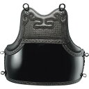 胴 剣道 格闘技 KZ61D 剣道防具 胴 【KSA】