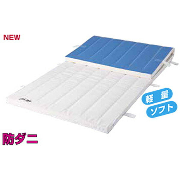 マット 防ダニ マット運動 F334 防ダニマット(オール合成スポンジ+ダニサルシート入り)6cm厚仕上(スベラーズ付き) 【NKJ】