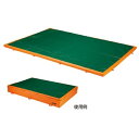 マット 補助マット メッシュ付き F1786 メッシュ付補助マット 【NKJ】(4)