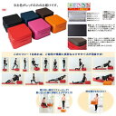 Dr.ソファー エクササイズ ソファー F6220R Dr.ソファー レッド 【NKJ】(4)