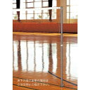 支柱 バドミントン 体育館 F4605 バドミントン支柱 体育館用 34mm直径(2本1組) 【NKJ】