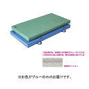 マット 補助マット 訓練マット用 F1649B 訓練マット用 補助マット ブルー 【NKJ】【36CE】