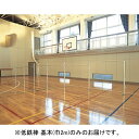 鉄棒 低鉄棒 体育館 S-8597 体育館用低鉄棒 基本 巾2m 【SWT】