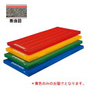 カラー体操マット エバニュー EKM416-黄400 屋内外兼用体操マット120×300×5/黄 (ENW)【36CE】