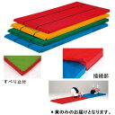 カラー体操マット エバニュー EKM069-400 指導ライン入軽量カラーマット連結すべり止 (黄) (ENW)【36CE】