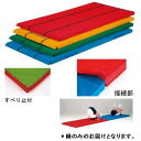 カラー体操マット エバニュー EKM069-500 指導ライン入軽量カラーマット連結すべり止 (緑) (ENW)【36CE】
