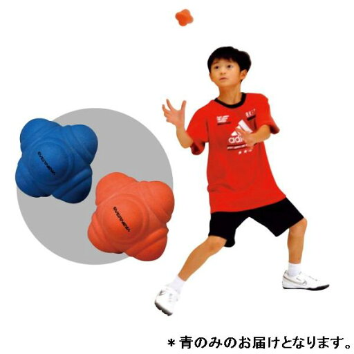 フォームボールイレギュラー エバニュー ETE170-700 フォームボールイレギュラー (青) (ENW) フォームボールイレギュラー エバニュー ETE170-700 フォームボールイレギュラー (青) (ENW)