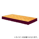 アルミステージ ダンノ D-1906NB ステージスカート 400用(ネイビー/マジックテープ式) (DAN)【36CE】