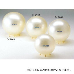 ストレッチ用ボール ダンノ D-5442 ギムニク パ－ルシッティング 65 (DAN)