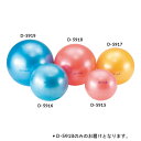 ストレッチ用ボール ダンノ D-5918 ギムニクボディボール85(LP9085)レッド (DAN)