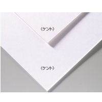 A・Bオリジナルアートボード B3ケント (AC207120/'143302)【14CD】 A・Bオリジナルアートボード B3ケント (AC207120/'143302)【14CD】