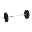 バーベル ダンノ D-5002 穴付ラバーバーベル28 30kg (DAN)【36CE】