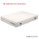 屋内エバーマット エバニュー EGD153 屋内エバーマットすべり止付(枚)専用交換袋(外被のみ)EGD143用 (ENW)(4)