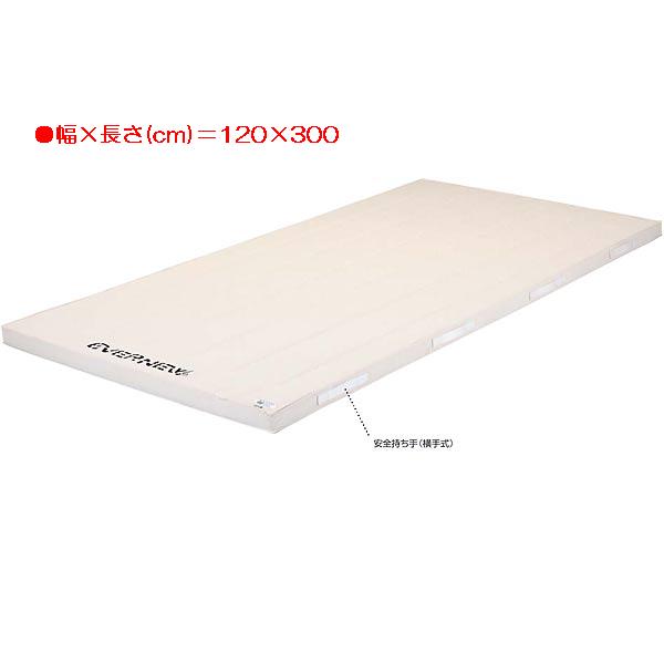 体操マット エバニュー EKM313 5cm厚合成スポンジコンビマット(枚) (ENW)